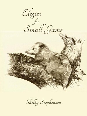 cover image of Elegies for Small Game